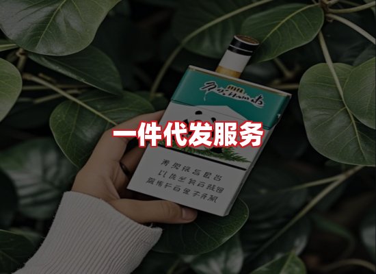 专业团队